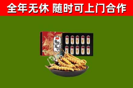 微山回收冬虫夏草价格